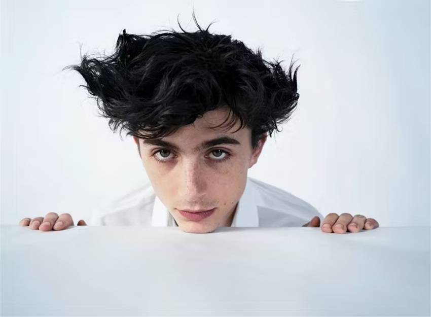 Timothée Chalamet Acting Techniques